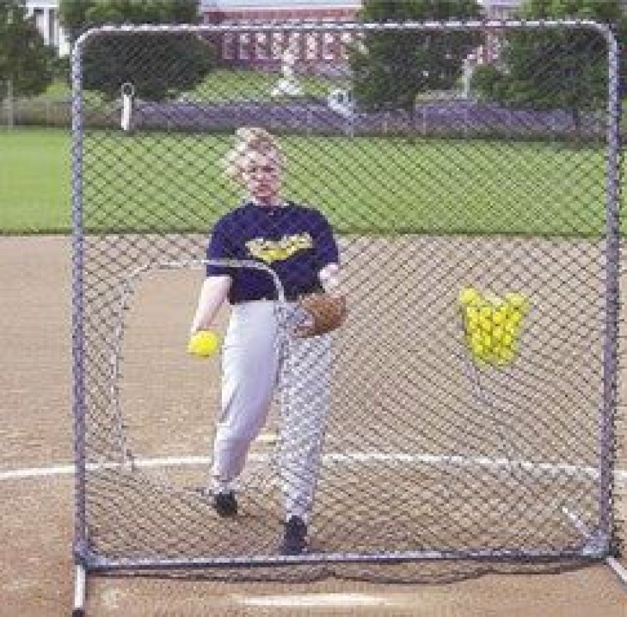 Other * | Tag Softball Protective Screen With Cutout